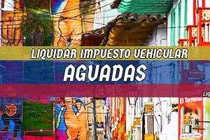 Cómo Liquidar el Impuesto Vehicular en Aguada en 2024