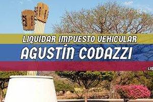 Cómo Liquidar el Impuesto Vehicular en Agustín Codazzi en 2024