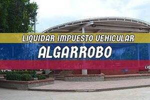 Cómo Liquidar el Impuesto Vehicular en Algarrobo en 2024