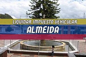 Cómo Liquidar el Impuesto Vehicular en Almeida en 2024
