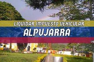Cómo Liquidar el Impuesto Vehicular en Alpujarra en 2024
