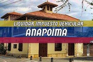Cómo Liquidar el Impuesto Vehicular en Anapoima en 2024