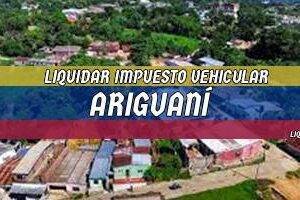 Cómo Liquidar el Impuesto Vehicular en Ariguaní en 2024