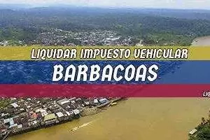 Cómo se Liquida el Impuesto Vehicular en Barbacoas en 2025