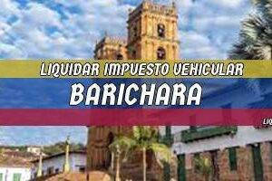 Cómo Liquidar el Impuesto Vehicular en Barichara en 2024