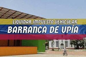Cómo Liquidar el Impuesto Vehicular en Barranca de Upía en 2024