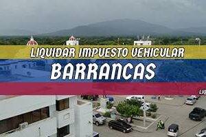 Cómo Liquidar el Impuesto Vehicular en Barrancas en 2024