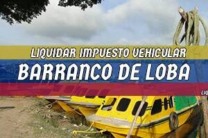 Cómo Liquidar el Impuesto Vehicular en Barranco de Loba en 2024