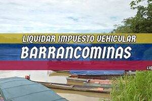 Cómo Liquidar el Impuesto Vehicular en Barrancominas en 2024