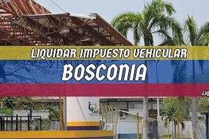 Cómo Liquidar el Impuesto Vehicular en Bosconia en 2024