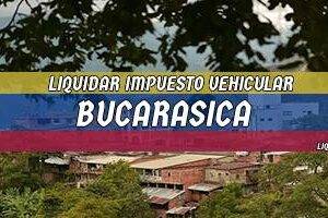 Cómo Liquidar el Impuesto Vehicular en Bucarasica en 2024