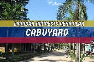 Cómo Liquidar el Impuesto Vehicular en Cabuyaro en 2024