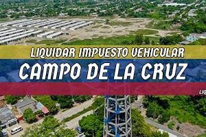 Cómo Liquidar el Impuesto Vehicular en Campo de la Cruz en 2024