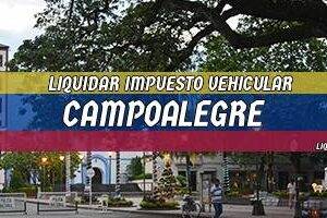 Cómo Liquidar el Impuesto Vehicular en Campoalegre en 2024
