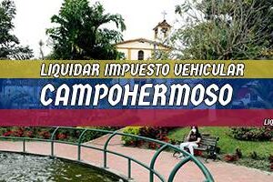 Cómo Liquidar el Impuesto Vehicular en Campohermoso en 2024