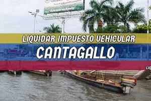 Cómo Liquidar el Impuesto Vehicular en Cantagallo en 2024