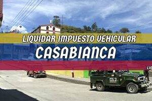 Cómo Liquidar el Impuesto Vehicular en Casabianca en 2024