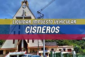 Cómo Liquidar el Impuesto Vehicular en Cisneros en 2024