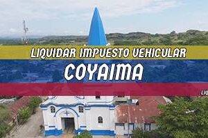 Cómo Liquidar el Impuesto Vehicular en Coyaima en 2024