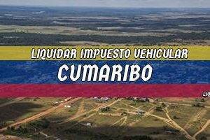 Cómo Liquidar el Impuesto Vehicular en Cumaribo en 2024