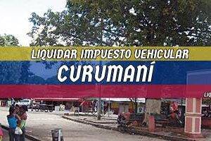 Cómo Liquidar el Impuesto Vehicular en Curumaní en 2024