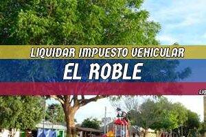 Cómo Liquidar el Impuesto Vehicular en El Roble en 2024