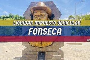 Cómo Liquidar el Impuesto Vehicular en Fonseca en 2024