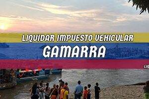 Cómo Liquidar el Impuesto Vehicular en Gamarra en 2024