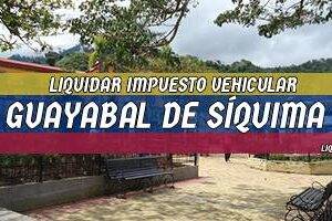 Cómo Liquidar el Impuesto Vehicular en Guayabal de Síquima en 2024