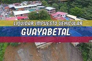 Cómo Liquidar el Impuesto Vehicular en Guayabetal en 2024