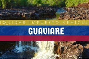 Cómo Liquidar el Impuesto Vehicular en Guaviare en 2024