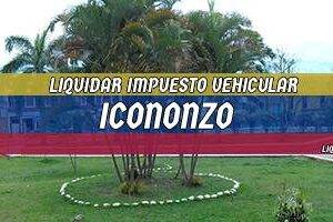 Cómo Liquidar el Impuesto Vehicular en Icononzo en 2024