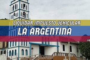 Cómo Liquidar el Impuesto Vehicular en La Argentina en 2024