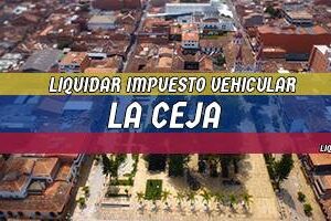 Cómo Liquidar el Impuesto Vehicular en La Ceja en 2024