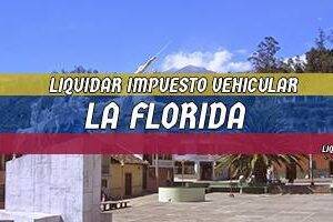 Cómo Liquidar el Impuesto Vehicular en La Florida en 2024