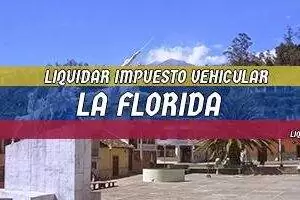Cómo se Liquida el Impuesto Vehicular en La Florida en 2025