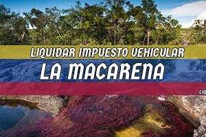 Cómo Liquidar el Impuesto Vehicular en La Macarena en 2024