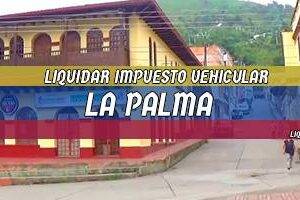 Cómo Liquidar el Impuesto Vehicular en La Palma en 2024