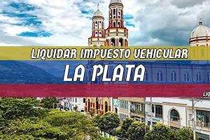Cómo Liquidar el Impuesto Vehicular en La Plata en 2024