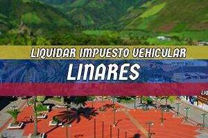 Cómo Liquidar el Impuesto Vehicular en Linares en 2024