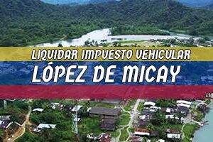 Cómo Liquidar el Impuesto Vehicular en López de Micay en 2024