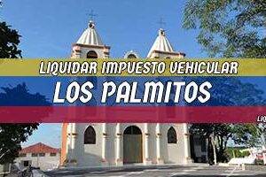 Cómo Liquidar el Impuesto Vehicular en Los Palmitos en 2024