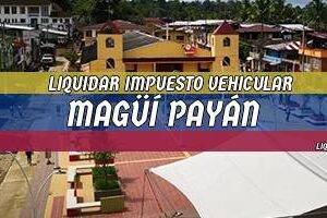 Cómo Liquidar el Impuesto Vehicular en Magüí Payán en 2024