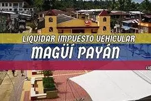 Cómo se Liquida el Impuesto Vehicular en Magüí Payán en 2025
