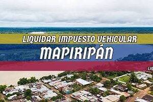 Cómo Liquidar el Impuesto Vehicular en Mapiripán en 2024
