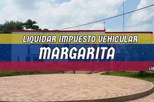 Cómo Liquidar el Impuesto Vehicular en Margarita en 2024