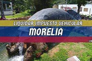 Cómo Liquidar el Impuesto Vehicular en Morelia en 2024