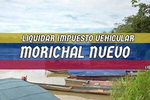 Cómo Liquidar el Impuesto Vehicular en Morichal Nuevo en 2024