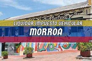 Cómo Liquidar el Impuesto Vehicular en Morroa en 2024
