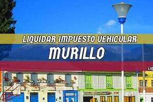 Cómo Liquidar el Impuesto Vehicular en Murillo en 2024